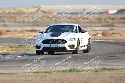 media/Nov-01-2025-PCA Central Coast (Sat) [[5e27ded23e]]/White Group/Sunrise/